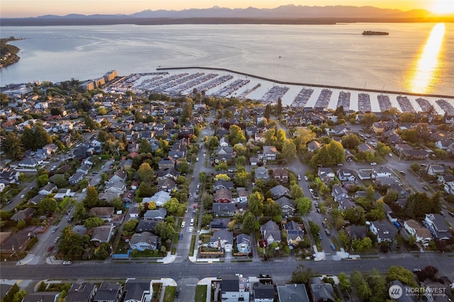 3202 NW 70th St, Seattle, WA 98117 - aerial view at dusk of a water and mountain view and a residential view