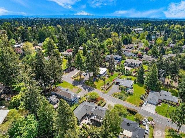 aerial view of residential area featuring a forest