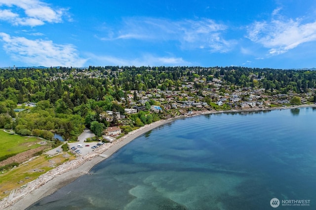 bird's eye view of a nearby body of water
