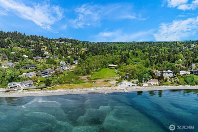 bird's eye view of a large body of water and a forest