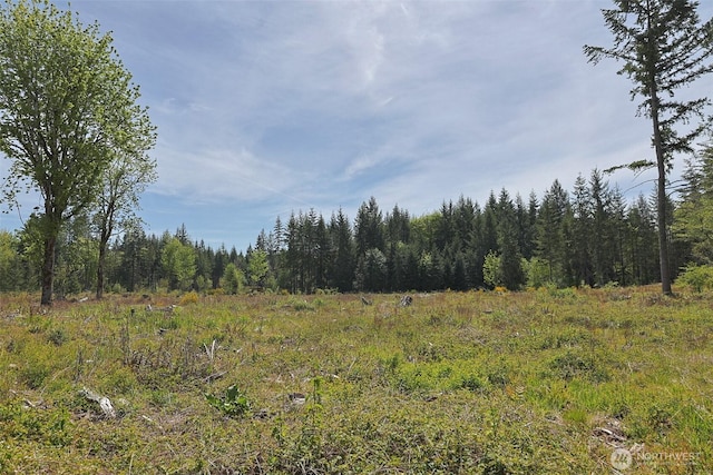 15138 Champion Estate Dr SE, Yelm, WA 98597