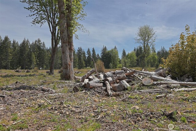 15138 Champion Estate Dr SE, Yelm, WA 98597