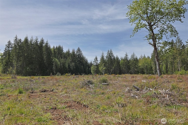 15138 Champion Estate Dr SE, Yelm, WA 98597