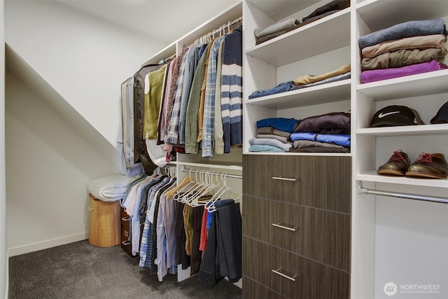 walk in closet with carpet