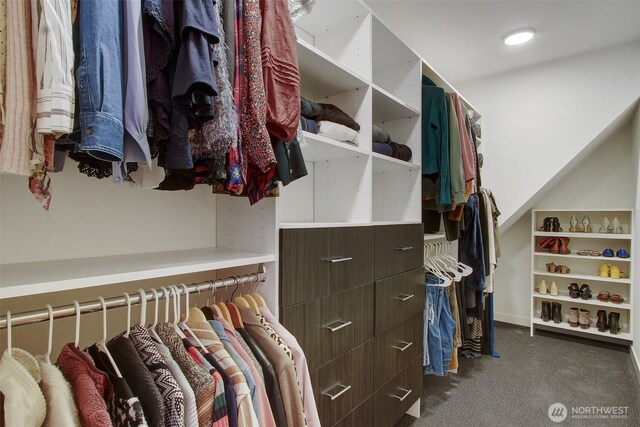 spacious closet with carpet flooring