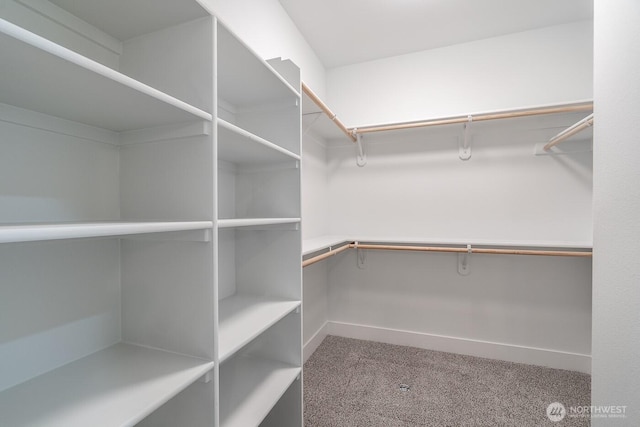 1196 8th Ave NE, Ephrata, WA 98823 - walk in closet with carpet
