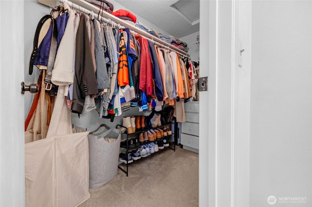 spacious closet featuring carpet flooring and attic access