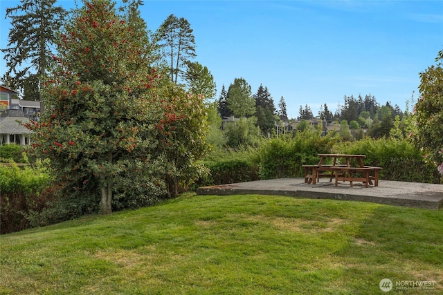 view of green lawn with a patio area