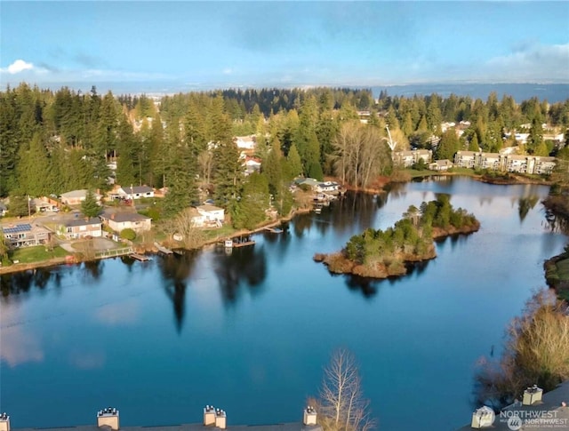 aerial view of property and surrounding area with a forest and a large body of water