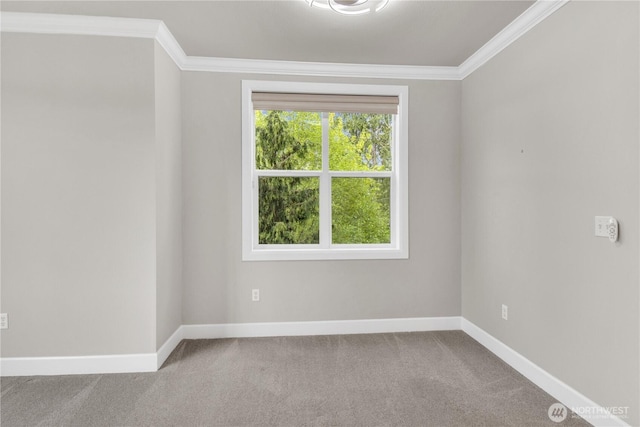 15408 Main St Unit 401, Mill Creek, WA 98012 - carpeted empty room with crown molding and baseboards