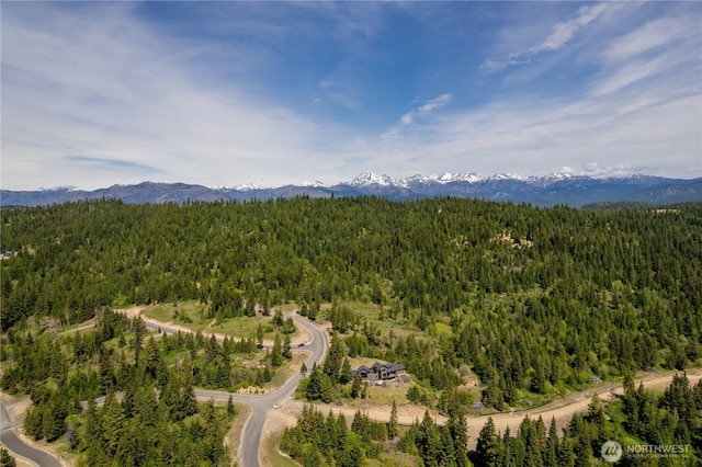 40 Eagle Ridge Dr, Cle Elum, WA 98922 - aerial overview of property's location with a forest and mountains