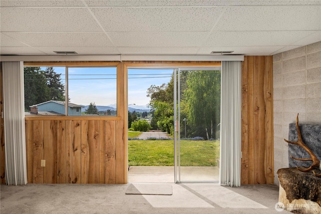 4414 Merlie Ave NE, Bremerton, WA 98310 - doorway to outside featuring carpet floors, a mountain view, a paneled ceiling, and wooden walls