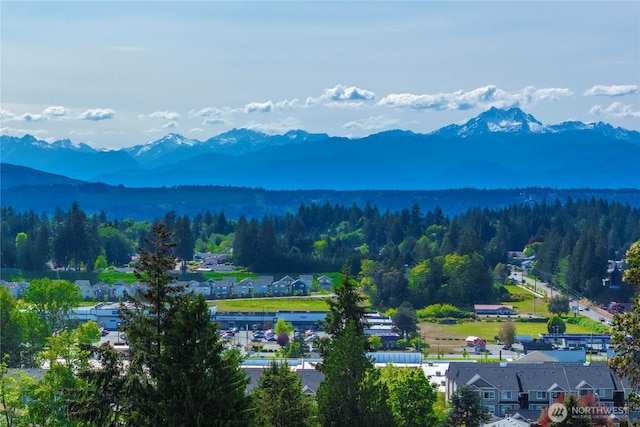 4414 Merlie Ave NE, Bremerton, WA 98310 - view of mountain backdrop with a heavily wooded area