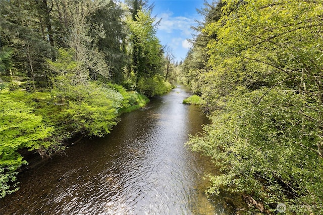 16037 Vail Loop Rd SE, Rainier, WA 98576 - water view