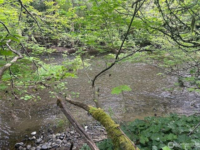 16037 Vail Loop Rd SE, Rainier, WA 98576 - view of undeveloped land