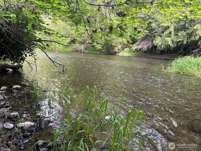 16037 Vail Loop Rd SE, Rainier, WA 98576 - water view