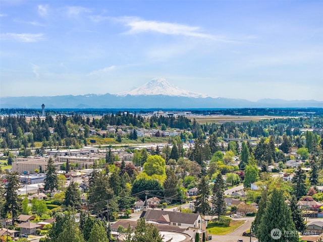 13223 4th Ave SW, Burien, WA 98146 - photo 36
