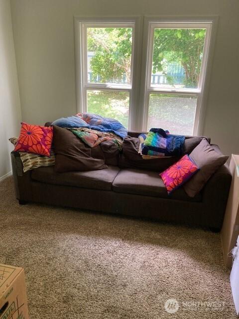161 N Schoolhouse Hill Rd, Hoodsport, WA 98548 - living room with carpet floors