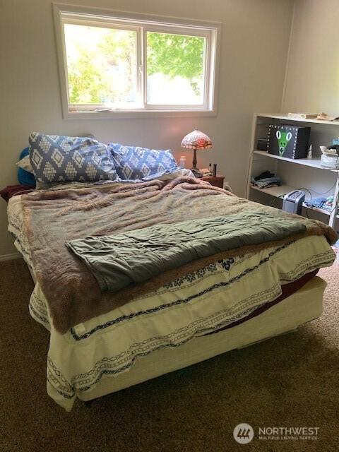 161 N Schoolhouse Hill Rd, Hoodsport, WA 98548 - view of carpeted bedroom