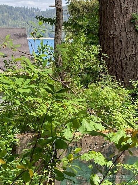 161 N Schoolhouse Hill Rd, Hoodsport, WA 98548 - view of wooded area