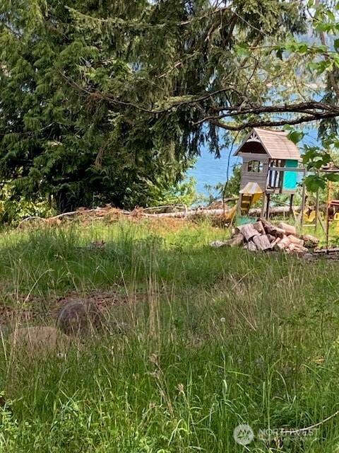 161 N Schoolhouse Hill Rd, Hoodsport, WA 98548 - view of yard