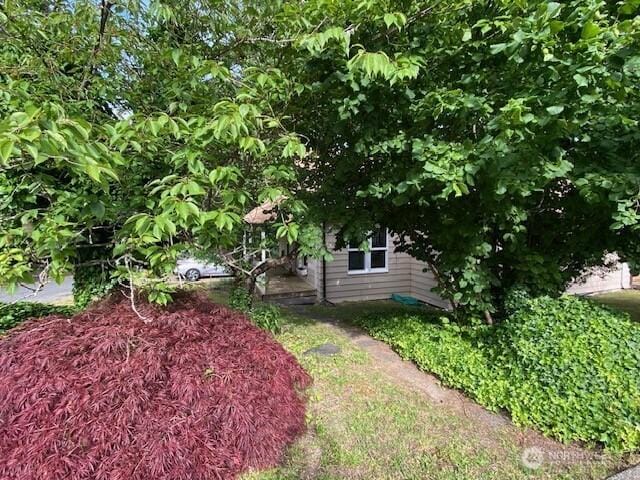 161 N Schoolhouse Hill Rd, Hoodsport, WA 98548 - photo 3