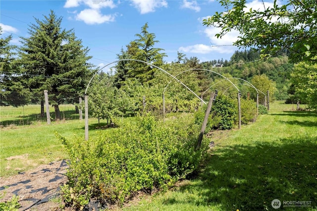 view of undeveloped land