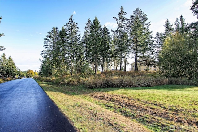 95 Shauna Pl, Sequim, WA 98382