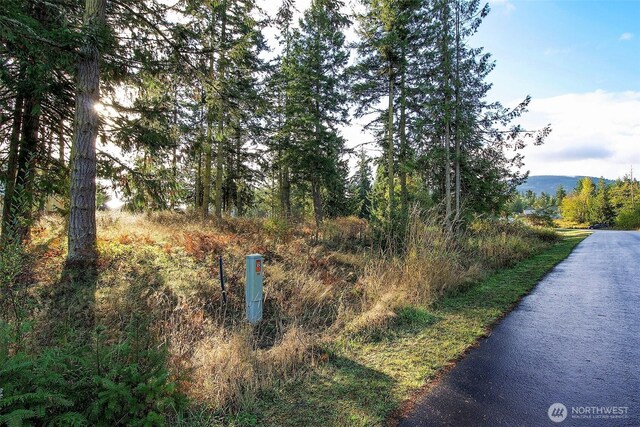 95 Shauna Pl, Sequim, WA 98382