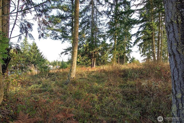 95 Shauna Pl, Sequim, WA 98382