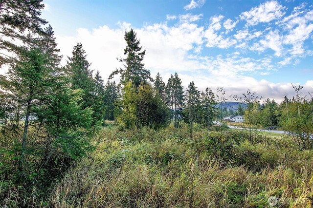 95 Shauna Pl, Sequim, WA 98382