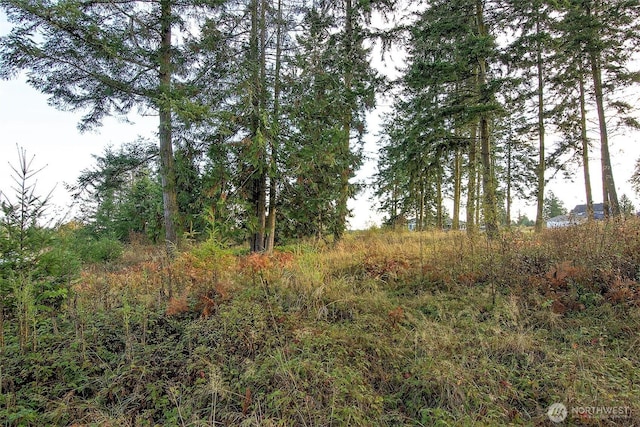95 Shauna Pl, Sequim, WA 98382
