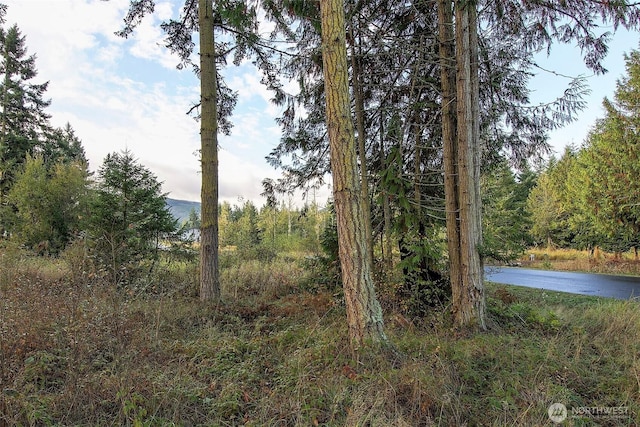 95 Shauna Pl, Sequim, WA 98382
