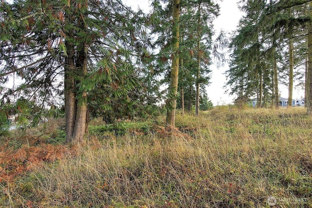 95 Shauna Pl, Sequim, WA 98382