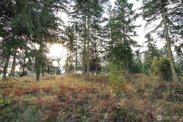 95 Shauna Pl, Sequim, WA 98382
