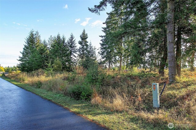 95 Shauna Pl, Sequim, WA 98382