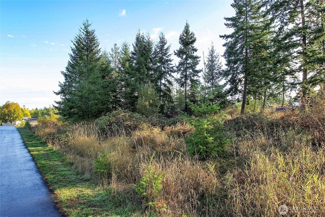 95 Shauna Pl, Sequim, WA 98382