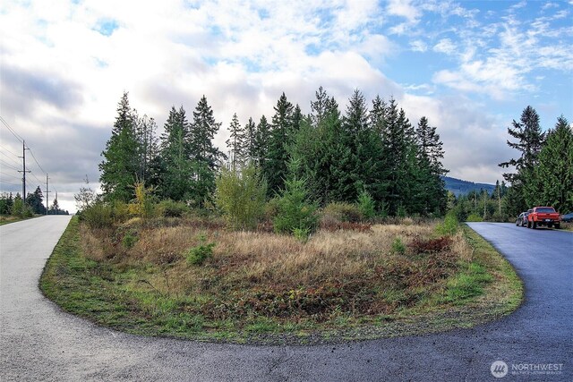 95 Shauna Pl, Sequim, WA 98382