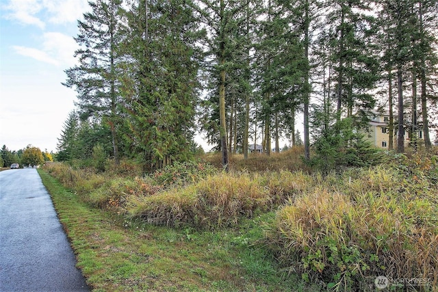 95 Shauna Pl, Sequim, WA 98382