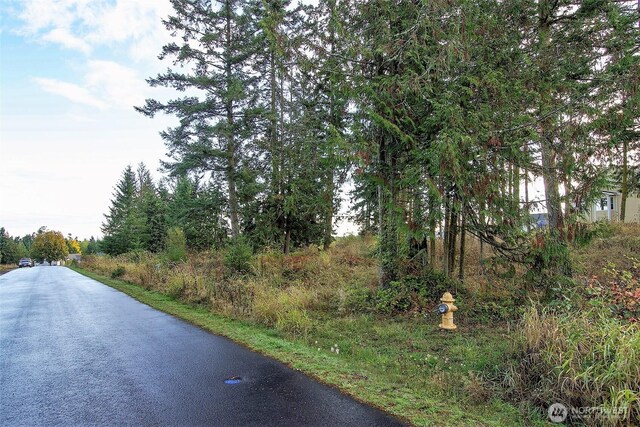 95 Shauna Pl, Sequim, WA 98382