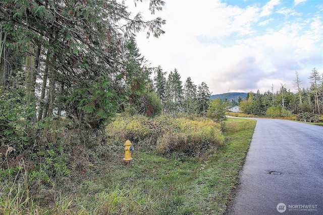 95 Shauna Pl, Sequim, WA 98382