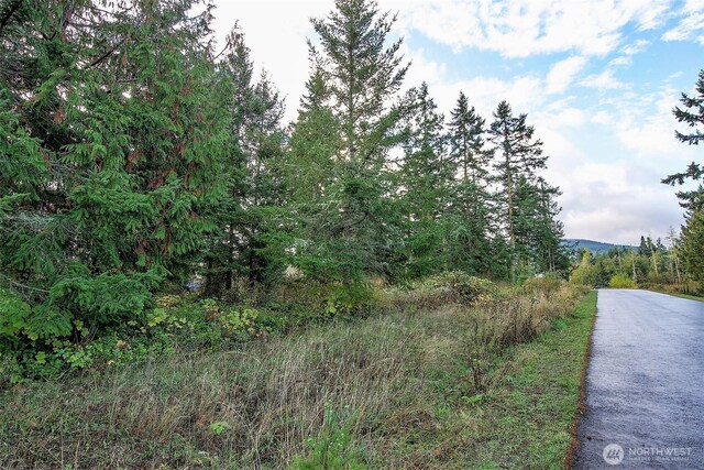 95 Shauna Pl, Sequim, WA 98382
