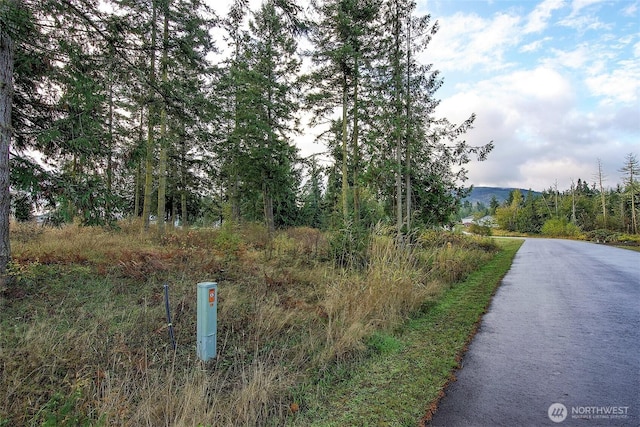 95 Shauna Pl, Sequim, WA 98382
