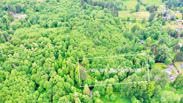 0 NE Old Belfair Hwy, Belfair, WA 98528 - photo 1