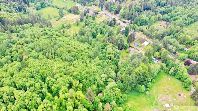 0 NE Old Belfair Hwy, Belfair, WA 98528 - photo 4