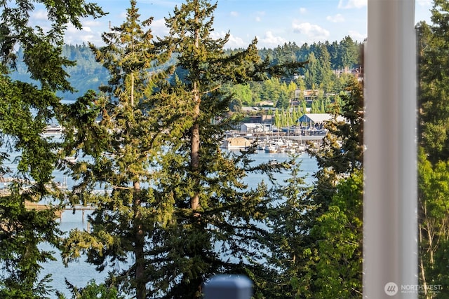 9510 Milton Ave, Gig Harbor, WA 98332 - photo 38