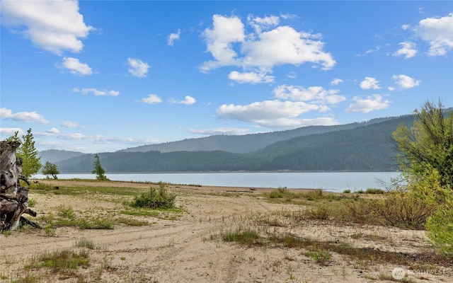 14997 Salmon La Sac Rd, Ronald, WA 98940 - photo 6