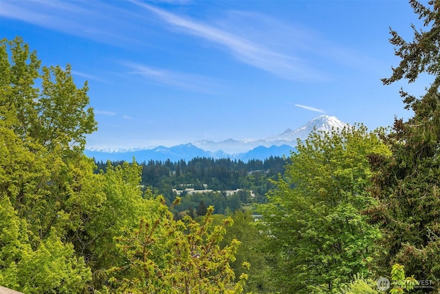 mountain view with a forest