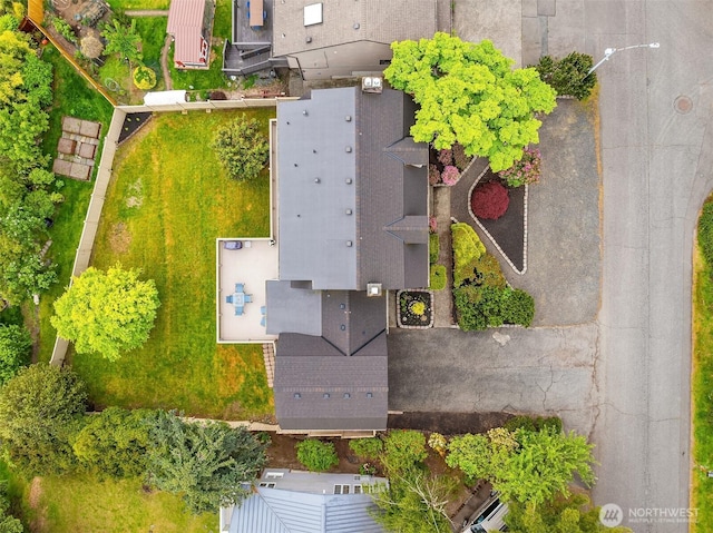 drone / aerial view