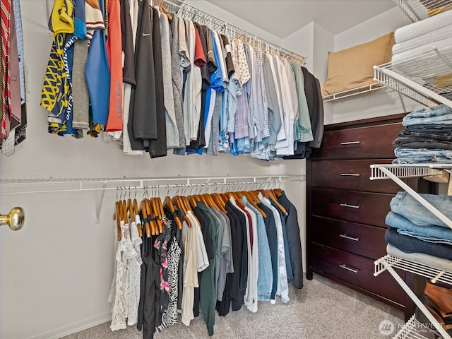 walk in closet featuring carpet floors